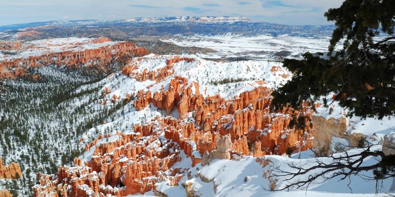 bryce-canyon-panorama-with-snow-winter-with-red-rocks-blue-sky-min